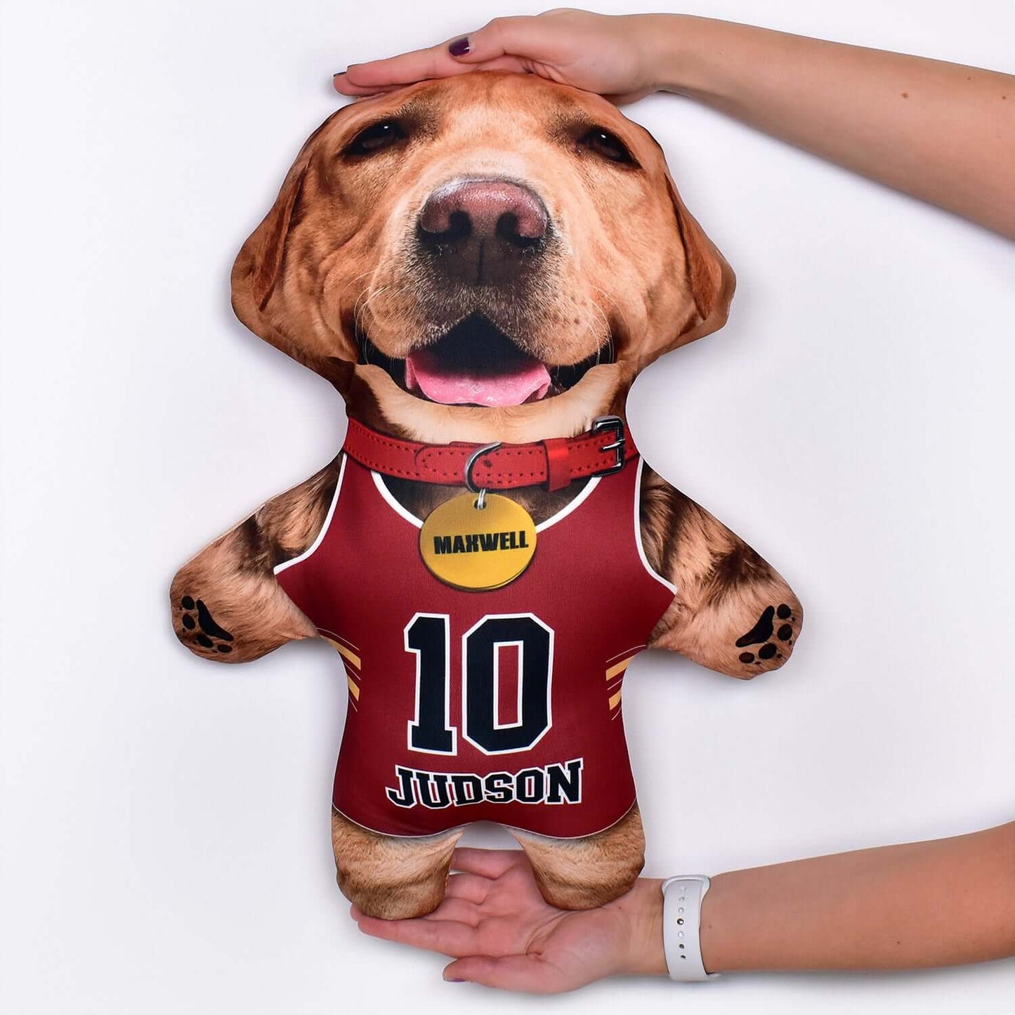 Basketball Jersey - 6 Fur Variants - Shape Three - Personalised Pet Mini Me