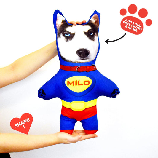 Superhero - Personalised Pet Mini Me