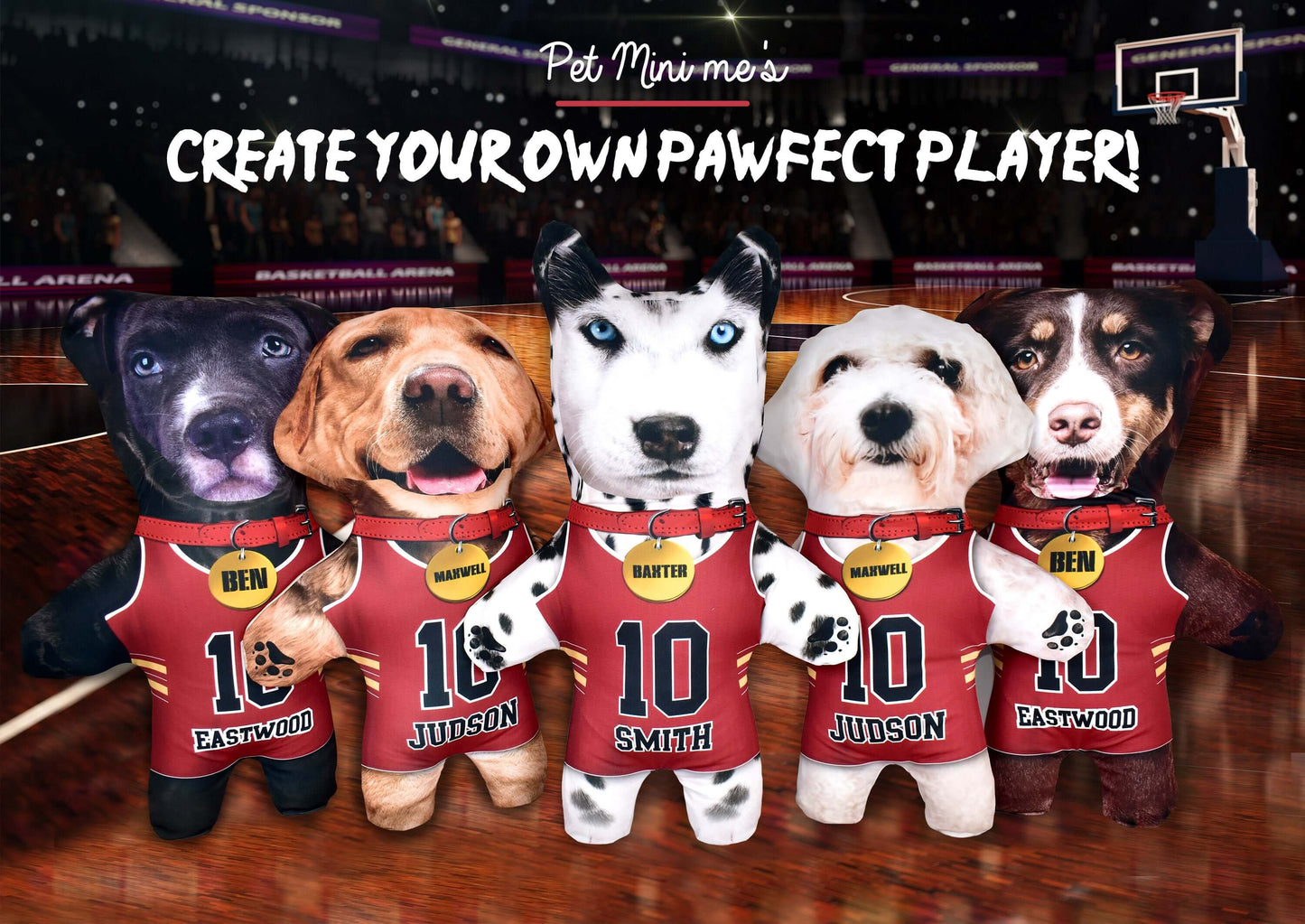 Basketball Jersey - 6 Fur Variants - Shape One - Personalised Pet Mini Me