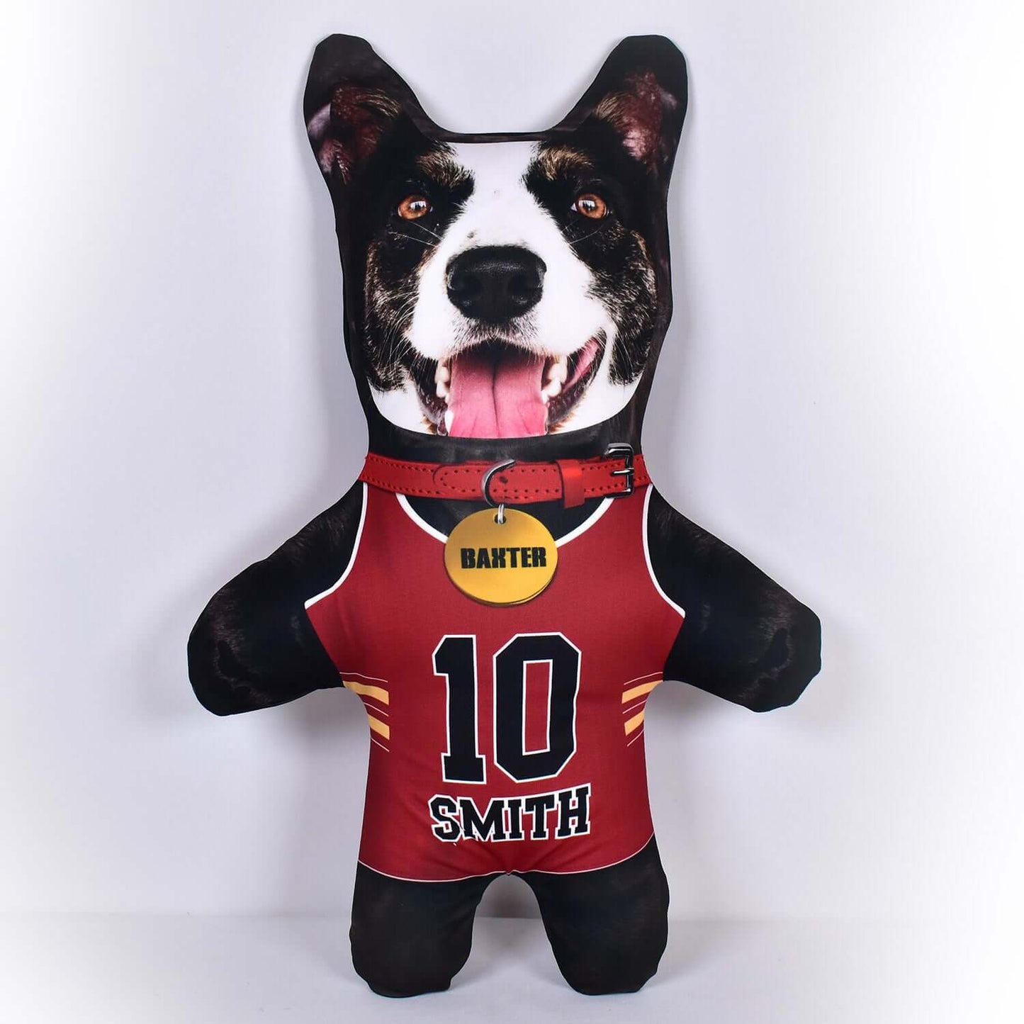 Basketball Jersey - 6 Fur Variants - Shape One - Personalised Pet Mini Me