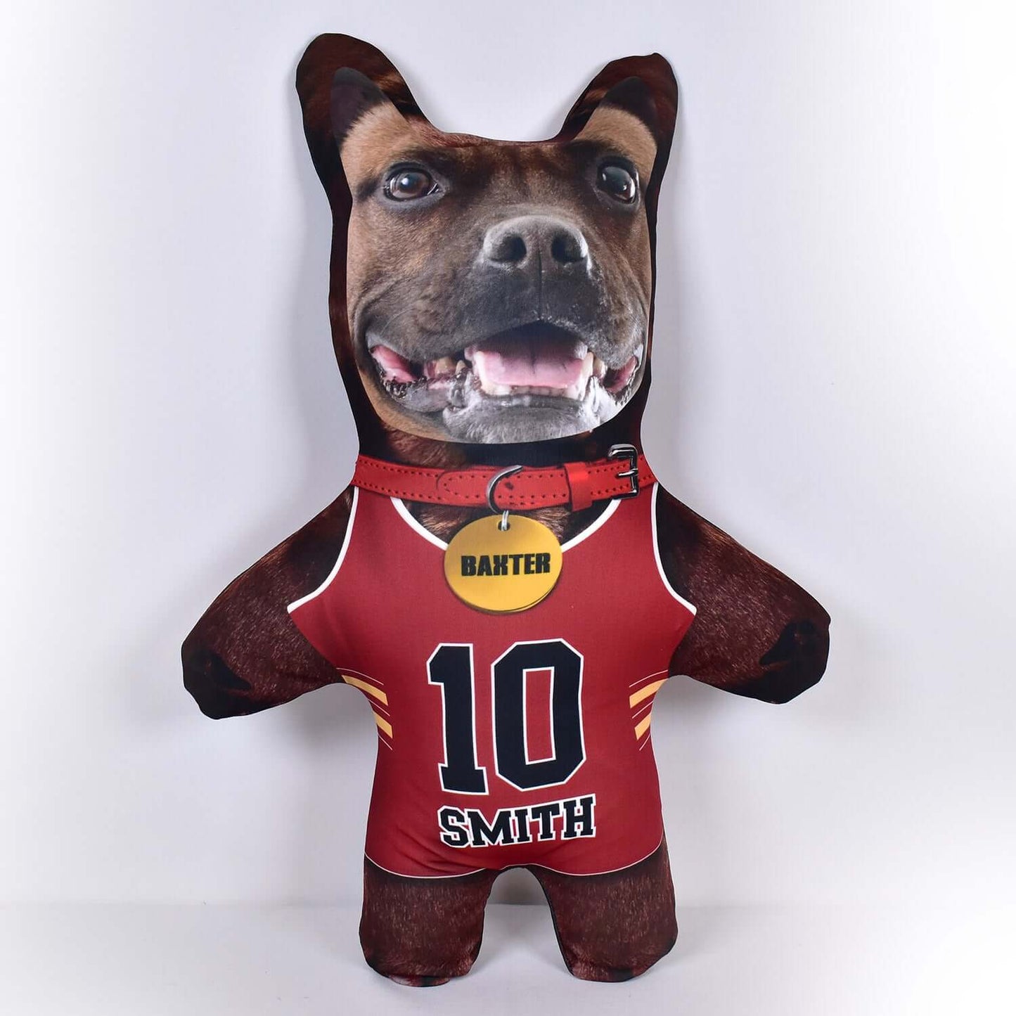 Basketball Jersey - 6 Fur Variants - Shape One - Personalised Pet Mini Me