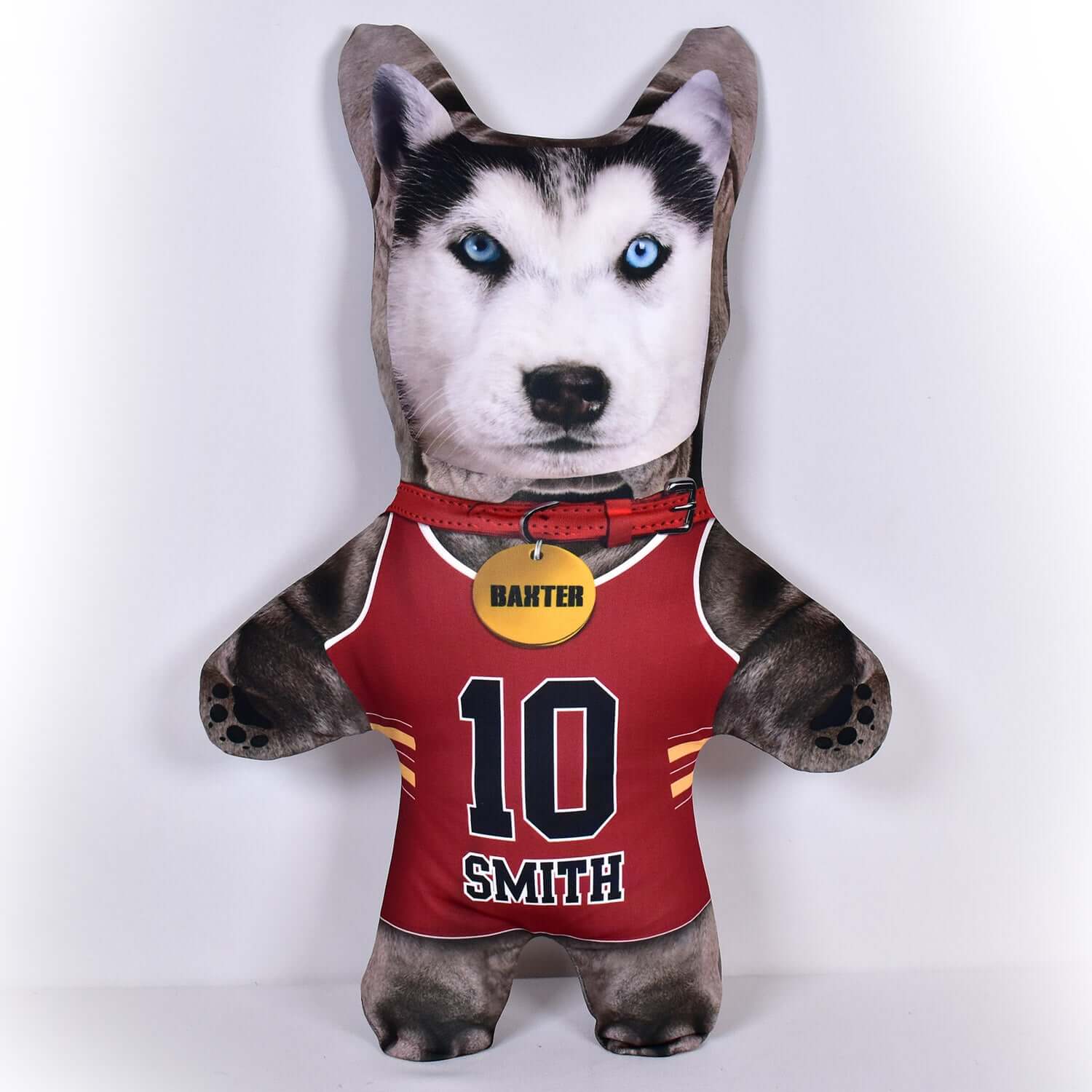 Basketball Jersey - 6 Fur Variants - Shape One - Personalised Pet Mini Me