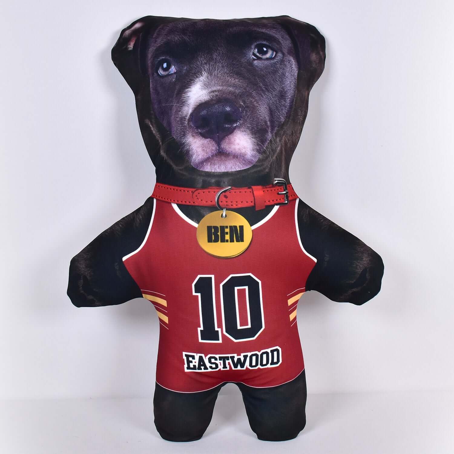 Basketball Jersey - 6 Fur Variants - Shape Two - Personalised Pet Mini Me