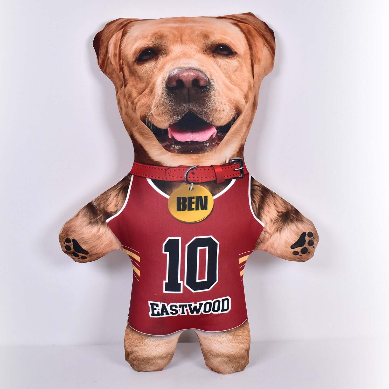 Basketball Jersey - 6 Fur Variants - Shape Two - Personalised Pet Mini Me