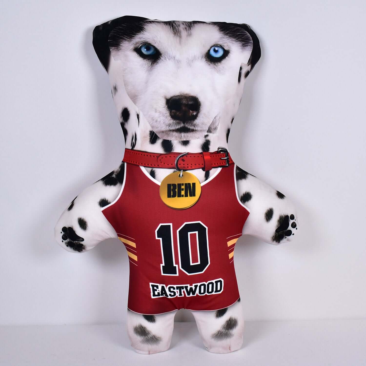 Basketball Jersey - 6 Fur Variants - Shape Two - Personalised Pet Mini Me