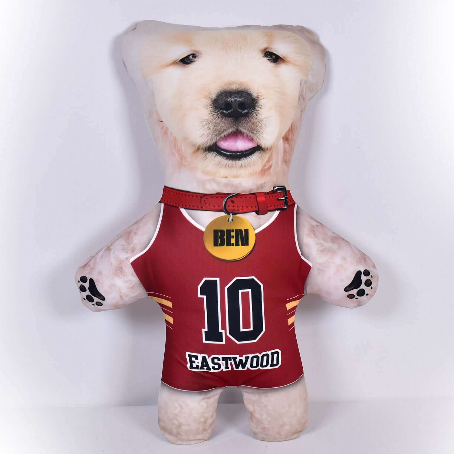 Basketball Jersey - 6 Fur Variants - Shape Two - Personalised Pet Mini Me