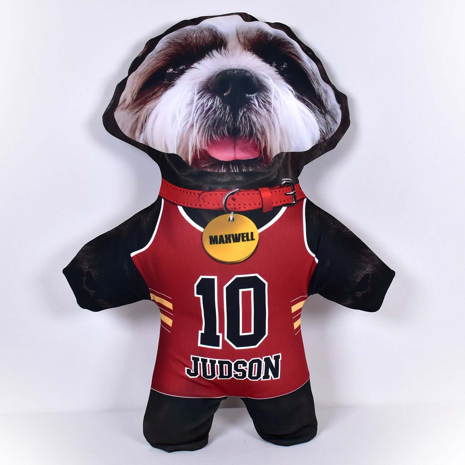 Basketball Jersey - 6 Fur Variants - Shape Three - Personalised Pet Mini Me