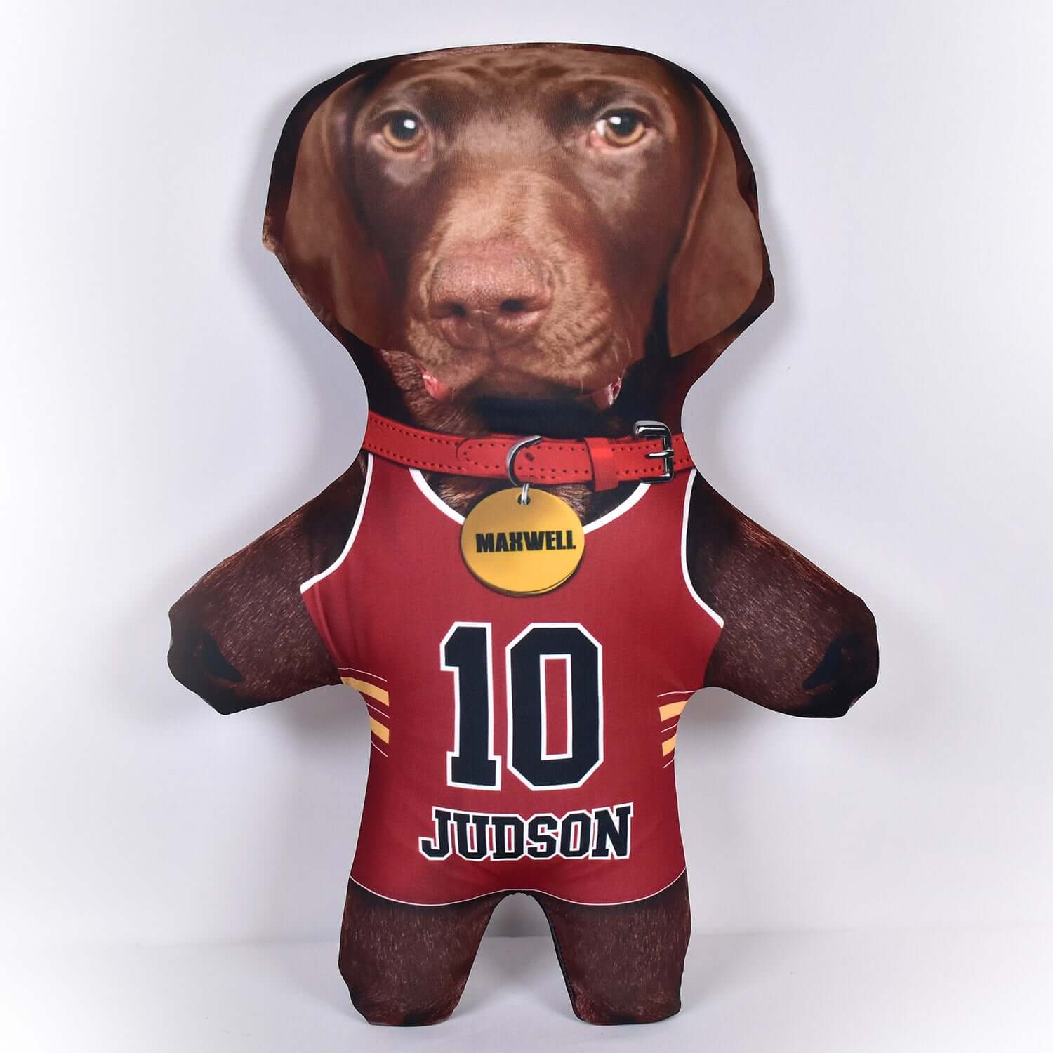 Basketball Jersey - 6 Fur Variants - Shape Three - Personalised Pet Mini Me