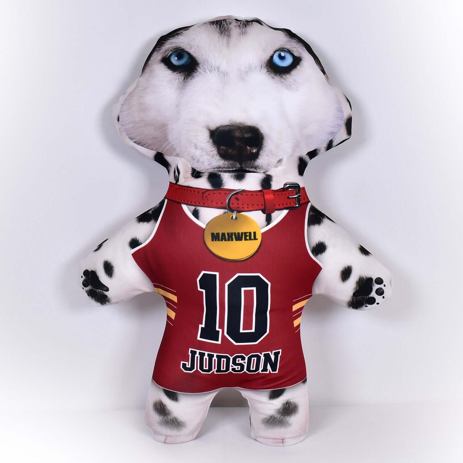 Basketball Jersey - 6 Fur Variants - Shape Three - Personalised Pet Mini Me